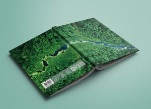 Office Products Brulion OFFICE PRODUCTS, Nature, A4, w kratkę, 96 kart., mix kolorów 2