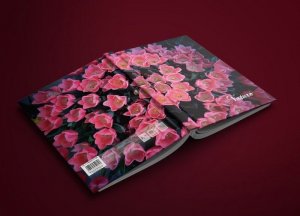 Office Products Brulion OFFICE PRODUCTS, Nature, A4, w kratkę, 96 kart., mix kolorów 4