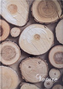 Office Products Brulion OFFICE PRODUCTS, Nature, A4, w linie, 96 kart., mix kolorów 2