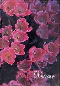 Office Products Brulion OFFICE PRODUCTS, Nature, A4, w linie, 96 kart., mix kolorów 3