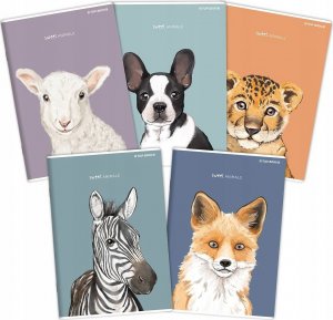 Top 2000 Zeszyt Top 2000 Sweet Animal A5/96k linia 2
