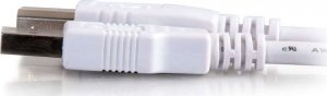 Kabel USB C2G USB-A - USB-B 3 m Biały (81562) 2