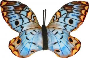 Bertoni-arco Poduszka Motyle Anartia 1