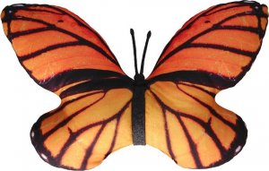 Bertoni-arco Poduszka Motyle Monarcha 1