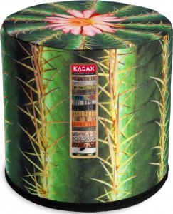Kadax Pufa Dekoracyjna Siedzisko Do Salonu Ogrodu Cactus 1