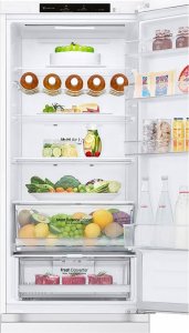 Lodówka LG GBV3200DSW 10