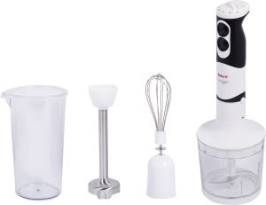 Blender Saturn ST-FP0051 4