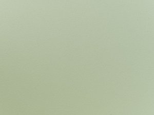 Beliani Zestaw 2 krzeseł do jadalni jasnozielony FONDA II 8