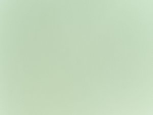 Beliani Zestaw 2 krzeseł jasnozielony UTICA 8