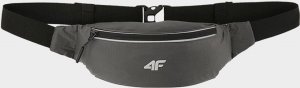 4f Saszetka na biodro 4F 4FSS23AWAIU029 23S 1