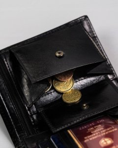 Peterson Duży, Skórzany Portfel Męski Bez Zapięcia 9