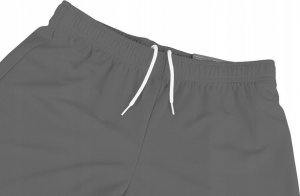 Puma Spodenki męskie Puma teamRISE Short szare 704942 13 L 2