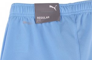 Puma Spodenki męskie Puma teamRISE Short Team błękitne 704942 18 M 5