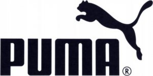 Puma Spodenki męskie Puma teamRISE Training Shorts czarne 657336 03 L 3