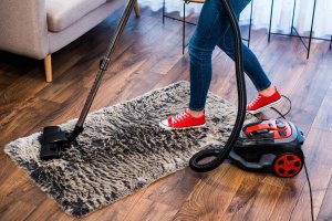 Odkurzacz Lehmann Typhoon 4000 10