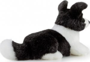 Trudi TRUDI BORDER COLLIE (S) 3