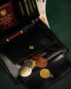 Peterson Duży, skórzany portfel męski bez zapięcia NoSize 10