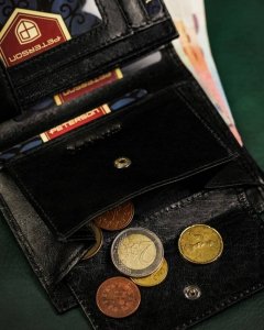 Peterson Skórzany portfel męski bez zapięcia zewnętrznego NoSize 11