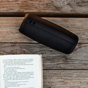 Głośnik Niceboy Raze 2 Ego czarny 12