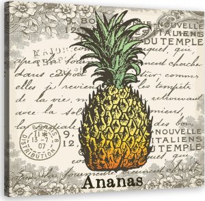 Feeby Obraz na płótnie, Ananas vintage - 50x50 1