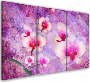 Feeby Obraz 3 częściowy na płótnie, Orchidea Kwiaty Abstrakcja - 150x100 1