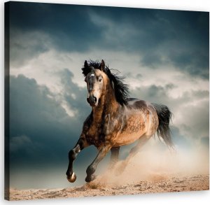 Feeby Obraz na płótnie, Galop konia - 60x60 1