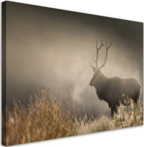 Feeby Obraz na płótnie, Jeleń we mgle natura - 120x80 1