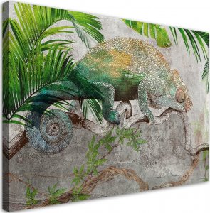 Feeby Obraz na płótnie, Kameleon na gałęzi dżungla - 120x80 1