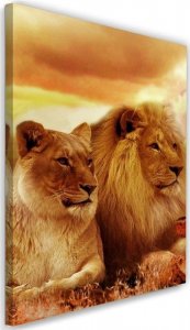 Feeby Obraz na płótnie, Król lew i lwica - 60x90 1