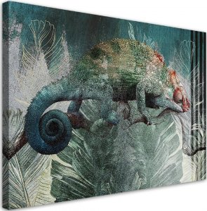 Feeby Obraz na płótnie, Kameleon w dżungli - 120x80 1