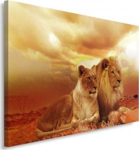 Feeby Obraz na płótnie, Para lwów zwierzęta - 100x70 1