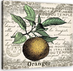 Feeby Obraz na płótnie, Pomarańcza vintage - 60x60 1