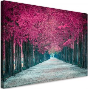 Feeby Obraz na płótnie, Różowe drzewa, park - 120x80 1
