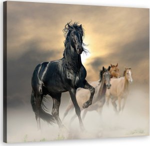 Feeby Obraz na płótnie, Stado koni - 60x60 1