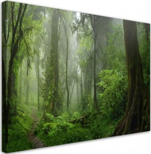 Feeby Obraz na płótnie, Tropikalny las dżungla - 120x80 1