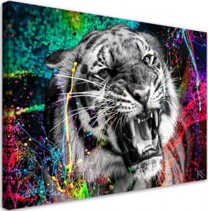 Feeby Obraz na płótnie, Tygrys zwierze natura - 90x60 1