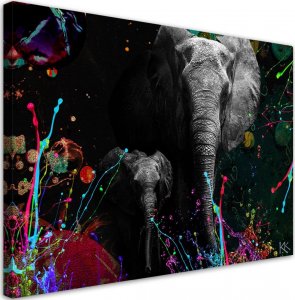 Feeby Obraz na płótnie, Słoń na kolorowym tle - 60x40 1