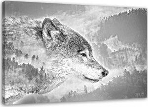 Feeby Obraz na płótnie, Wilk na śnieżnym tle - 90x60 1