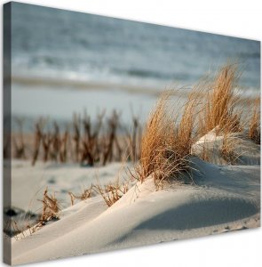 Feeby Obraz na płótnie, Wydmy nad morzem - 90x60 1