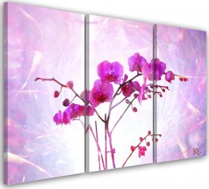 Feeby Obraz tryptyk na płótnie, Eteryczna orchidea - 120x80 1
