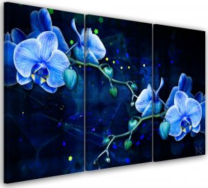 Feeby Obraz tryptyk na płótnie, Niebieski kwiat orchidei - 150x100 1