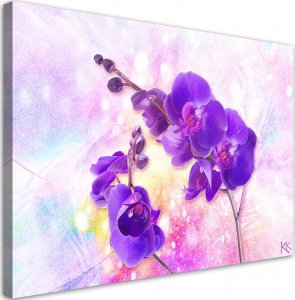 Feeby Obraz, Fioletowy kwiat orchidei - 120x80 1