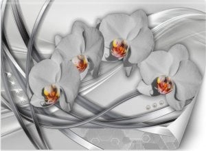 Feeby Fototapeta, Abstrakcja orchidea - 100x70 1