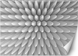 Feeby Fototapeta, Abstrakcja kolce tekstura 3D - 200x140 1