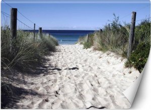 Feeby Fototapeta, Droga na plażę wydmy piasek - 200x140 1
