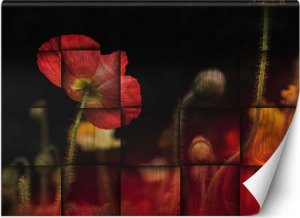 Feeby Fototapeta, Czerwone maki kwiaty - 150x105 1