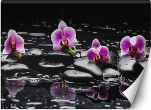 Feeby Fototapeta, Kamienie zen orchidea - 100x70 1