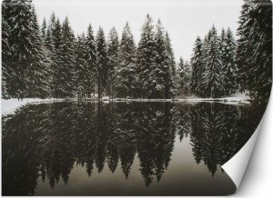 Feeby Fototapeta, Jezioro las zima natura - 150x105 1