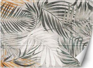 Feeby Fototapeta, Liście palmy tropikalne - 100x70 1