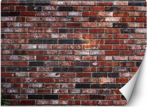 Feeby Fototapeta, Mur z czerwonej cegły - 150x105 1